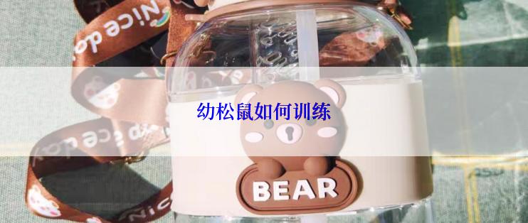 幼松鼠如何训练