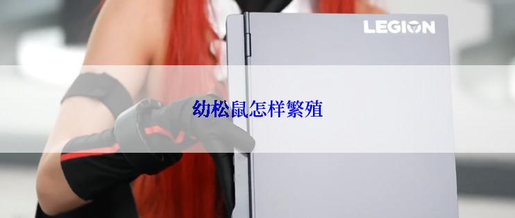 幼松鼠怎样繁殖