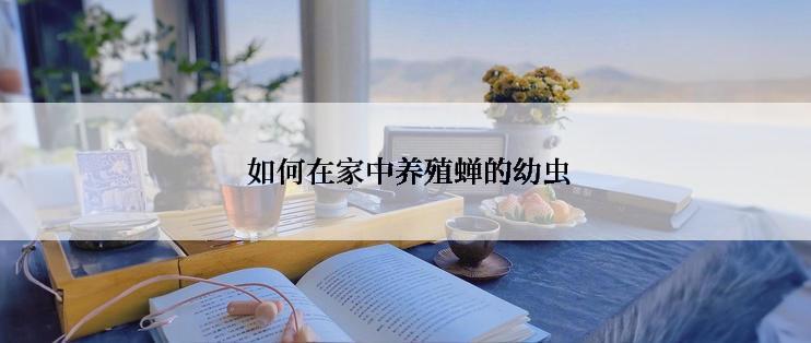  如何在家中养殖蝉的幼虫