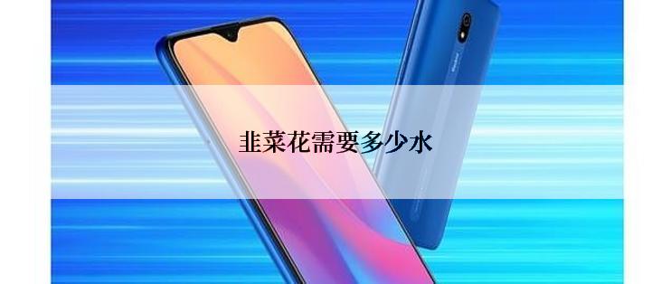 韭菜花需要多少水