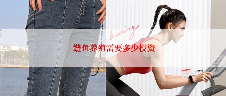  鲢鱼养殖需要多少投资