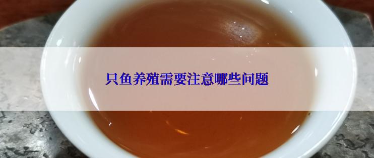 只鱼养殖需要注意哪些问题
