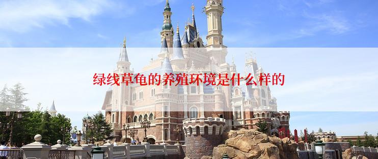 绿线草龟的养殖环境是什么样的