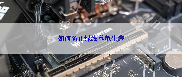 如何防止绿线草龟生病