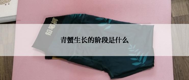 青蟹生长的阶段是什么