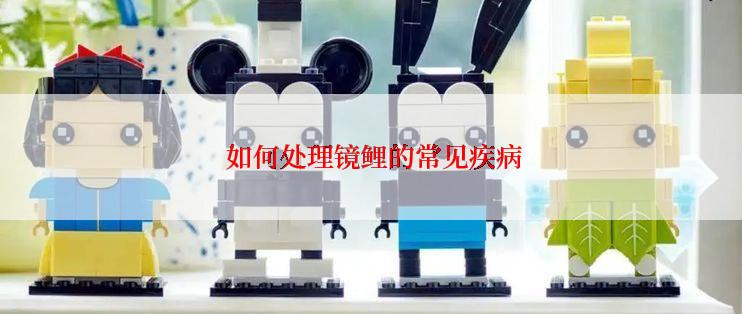  如何处理镜鲤的常见疾病