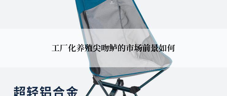 工厂化养殖尖吻鲈的市场前景如何