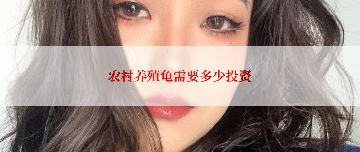 农村养殖龟需要多少投资