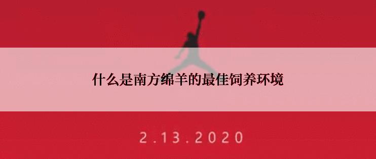 什么是南方绵羊的最佳饲养环境