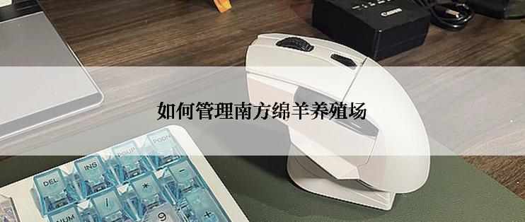 如何管理南方绵羊养殖场