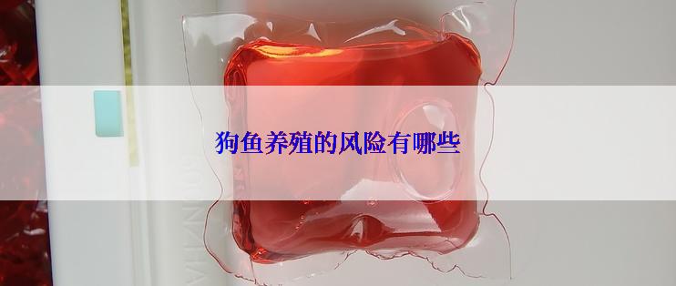 狗鱼养殖的风险有哪些