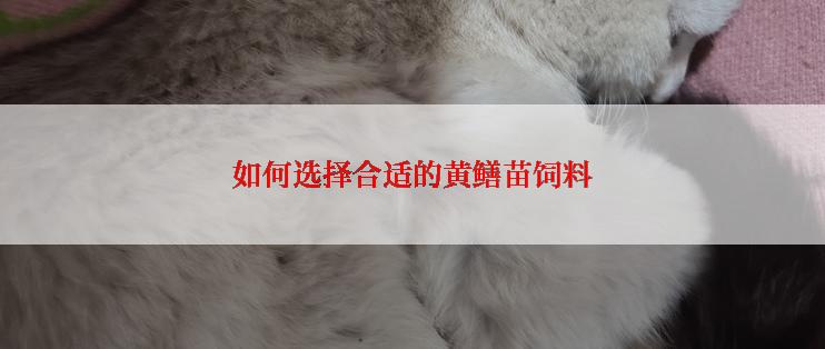 如何选择合适的黄鳝苗饲料