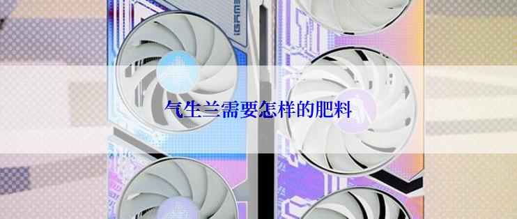 气生兰需要怎样的肥料