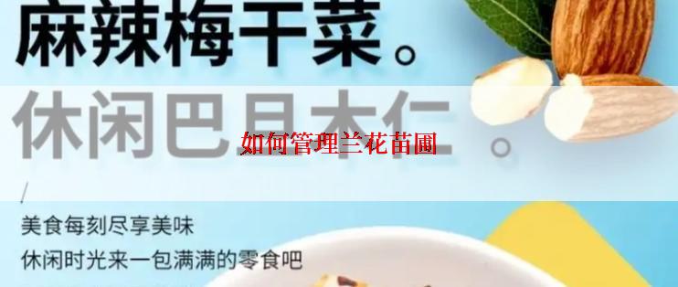 如何管理兰花苗圃