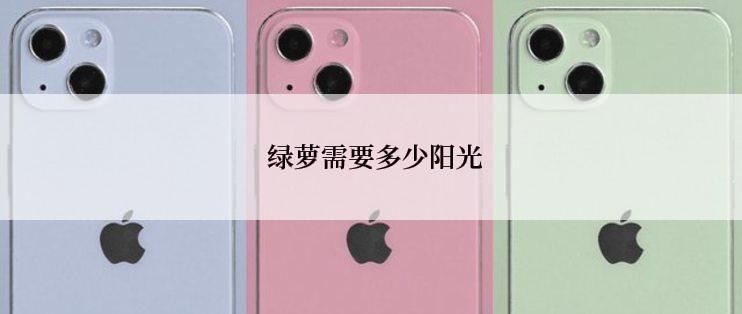  绿萝需要多少阳光
