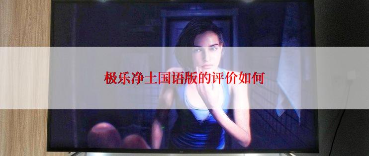 极乐净土国语版的评价如何