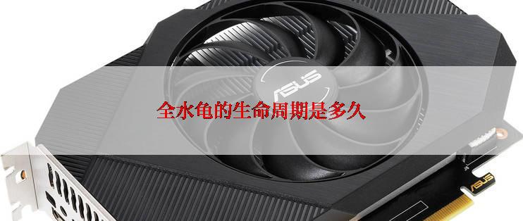 全水龟的生命周期是多久