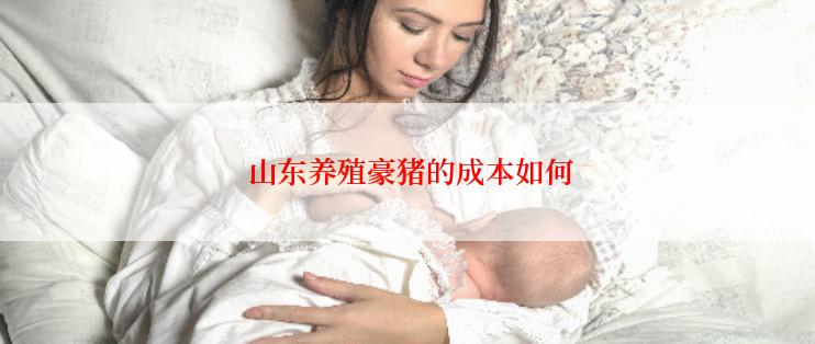  山东养殖豪猪的成本如何