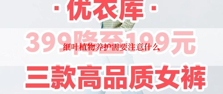 细叶植物养护需要注意什么