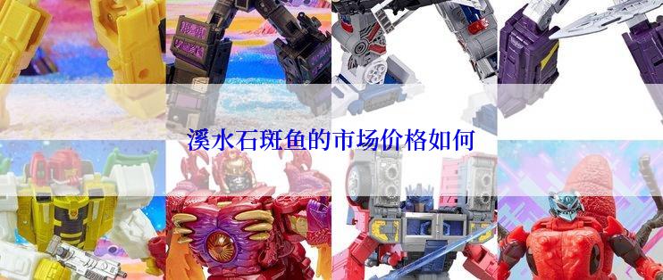 溪水石斑鱼的市场价格如何