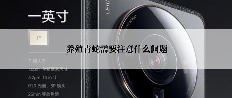  养殖青蛇需要注意什么问题