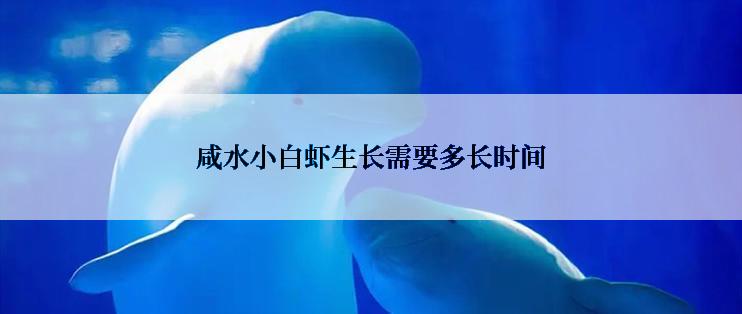 咸水小白虾生长需要多长时间