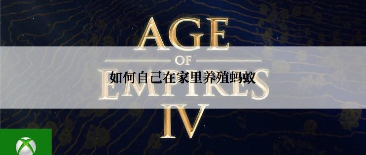 如何自己在家里养殖蚂蚁