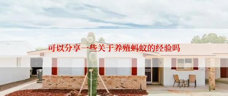 可以分享一些关于养殖蚂蚁的经验吗