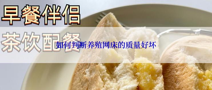 如何判断养殖网床的质量好坏