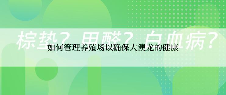 如何管理养殖场以确保大澳龙的健康