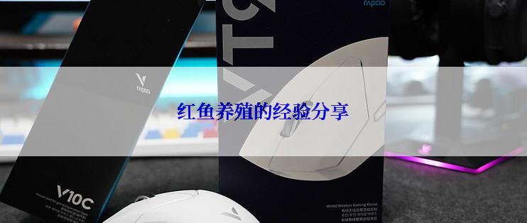 红鱼养殖的经验分享