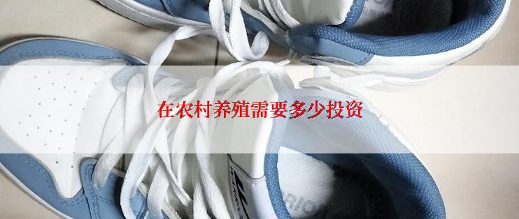 在农村养殖需要多少投资