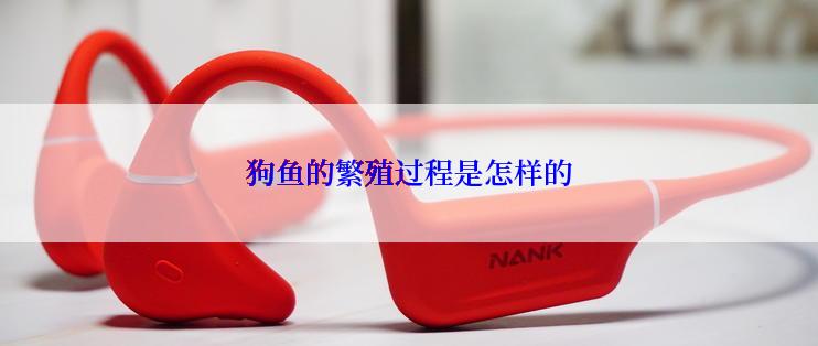 狗鱼的繁殖过程是怎样的