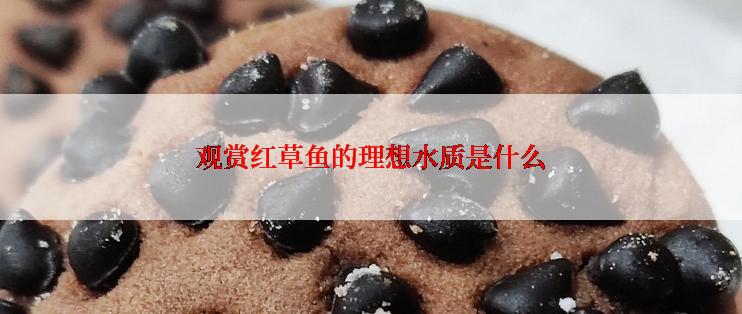 观赏红草鱼的理想水质是什么