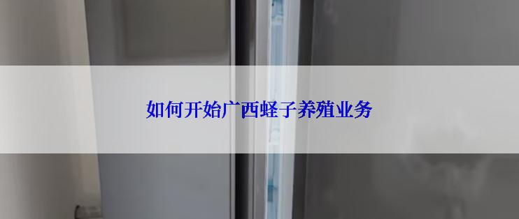 如何开始广西蛏子养殖业务