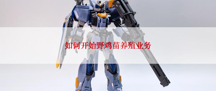 如何开始野鸡苗养殖业务