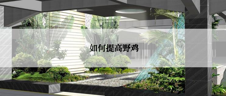  如何提高野鸡