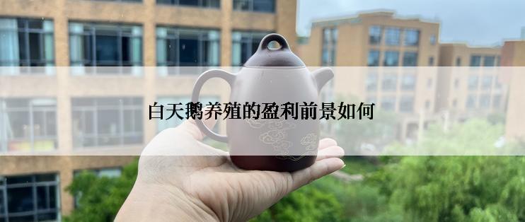 白天鹅养殖的盈利前景如何