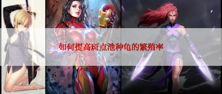如何提高斑点池种龟的繁殖率