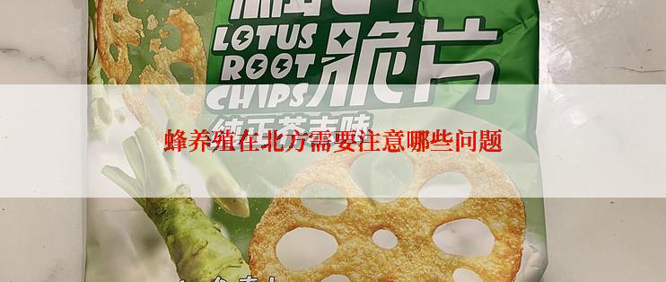 蜂养殖在北方需要注意哪些问题