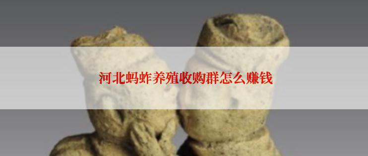 河北蚂蚱养殖收购群怎么赚钱