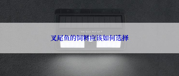 叉尾鱼的饲料应该如何选择
