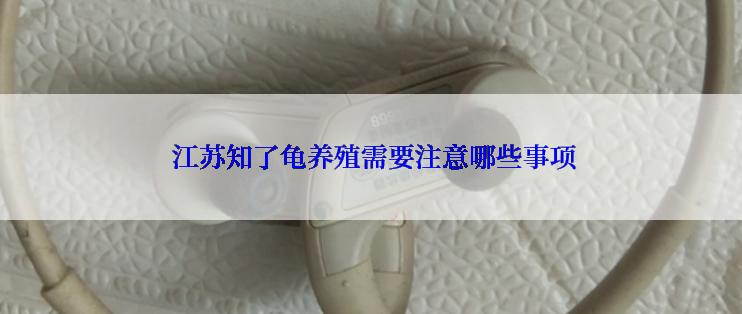  江苏知了龟养殖需要注意哪些事项