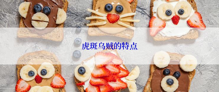 虎斑乌贼的特点