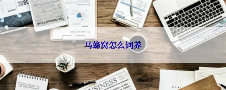 马蜂窝怎么饲养