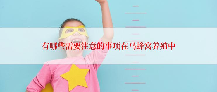 有哪些需要注意的事项在马蜂窝养殖中