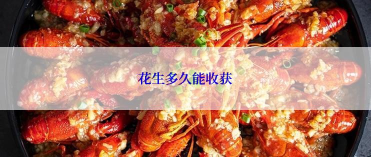 花生多久能收获