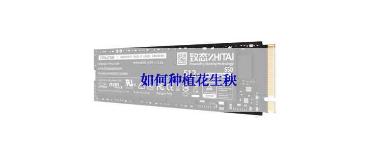 如何种植花生秧