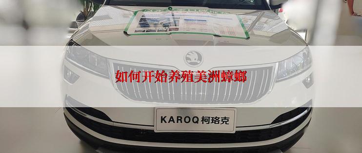 如何开始养殖美洲蟑螂