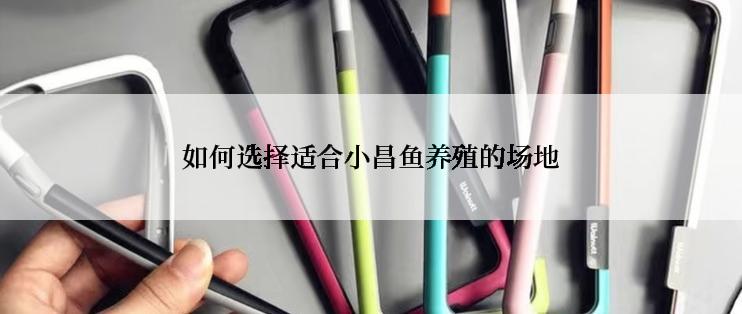 如何选择适合小昌鱼养殖的场地